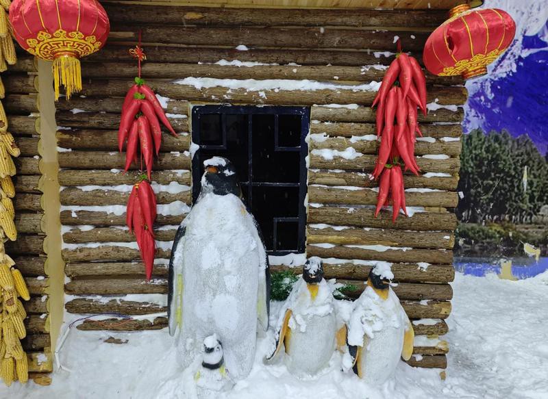 石林水族店，云南石林水族店創業需要哪些條件石林水族店創業需要哪些條件 石林水族店，云南石林水族店創業需要哪些條件石林水族店創業需要哪些條件 全國水族館企業名錄 第2張