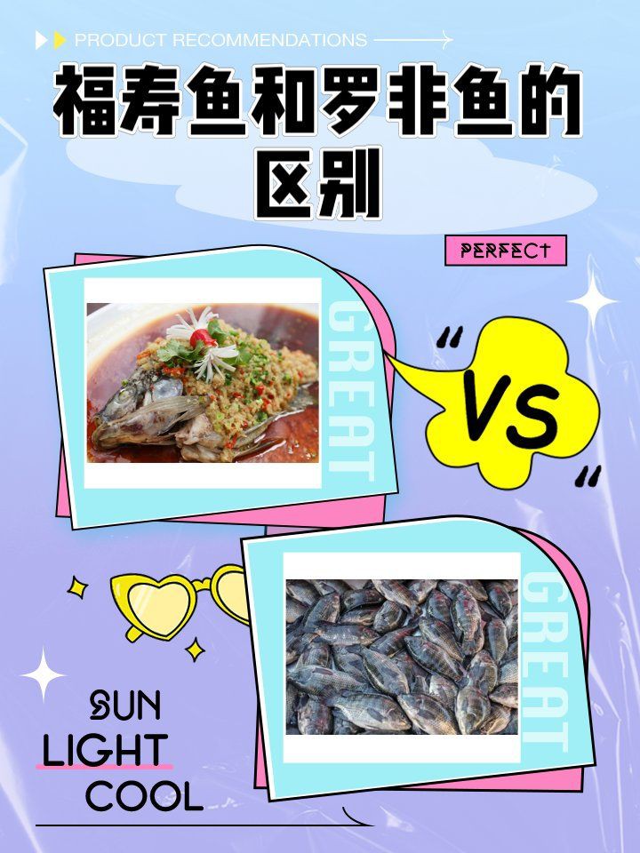 羅非魚和福壽魚哪個好，福壽魚和羅非魚的區(qū)別
