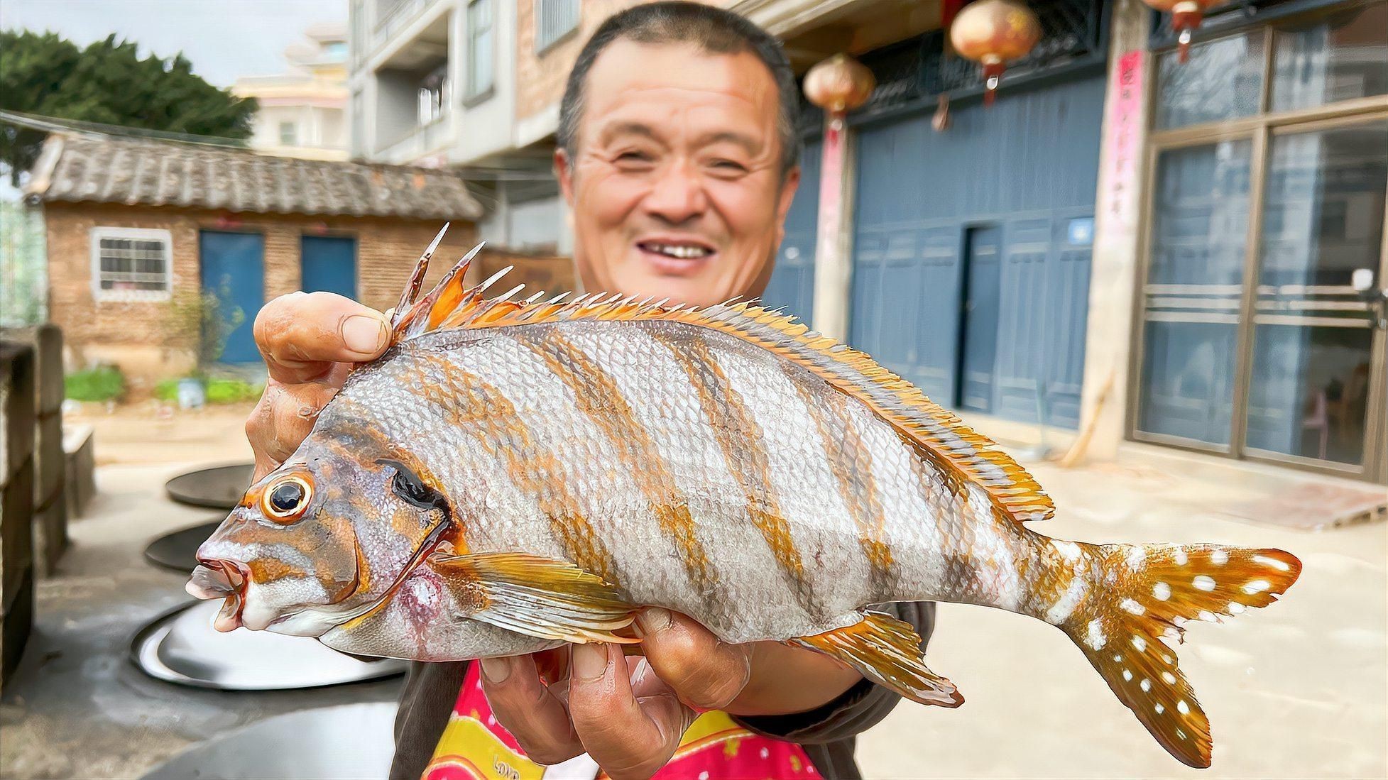 紅三刀魚一般建議買嗎，紅三刀魚值得購買需綜合考量多方面因素其作為養殖魚類