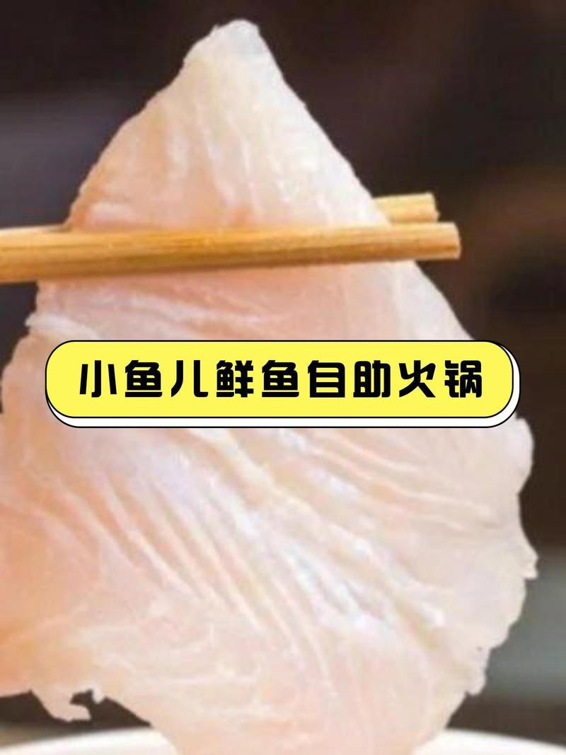 莘縣龍魚店，山東省莘縣龍魚店