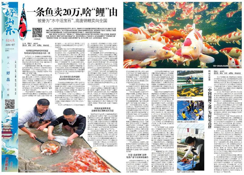 莘縣龍魚店，山東省莘縣龍魚店