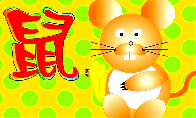 養貓最忌諱的三個屬相，哪些屬相不宜養貓