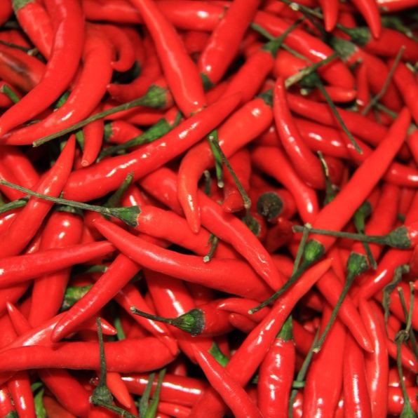 綠色的小辣椒叫什么椒，綠色的小辣椒叫什么 綠色的小辣椒叫什么椒，綠色的小辣椒叫什么 龍魚百科 第6張