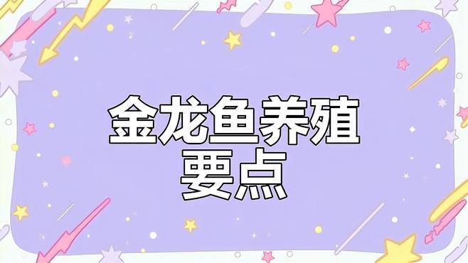 古典金龍魚的最佳飼養環境參數，古典金龍魚的最佳飼養環境需綜合考慮多方面因素