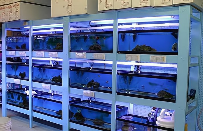 秭歸水族店，加盟星秭歸縣精創水族漁具店天眼查水族店經營范圍有哪些