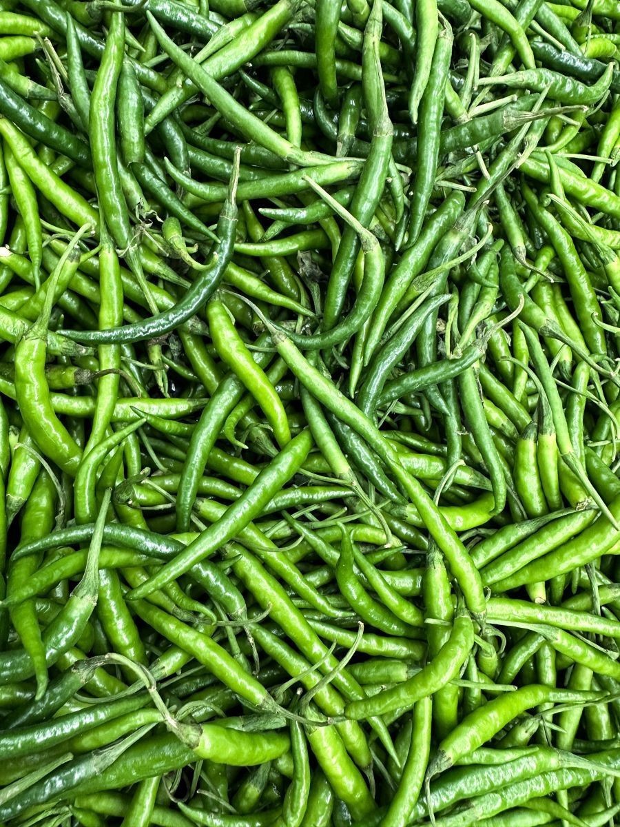 綠辣椒圖片，綠色辣椒圖片大全