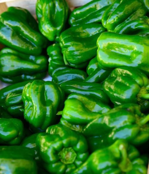 綠辣椒圖片，綠色辣椒圖片大全