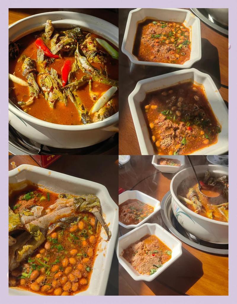 沾益龍魚店，哪家的龍魚最出名