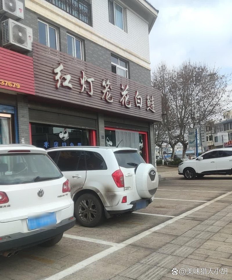 沾益龍魚店，哪家的龍魚最出名
