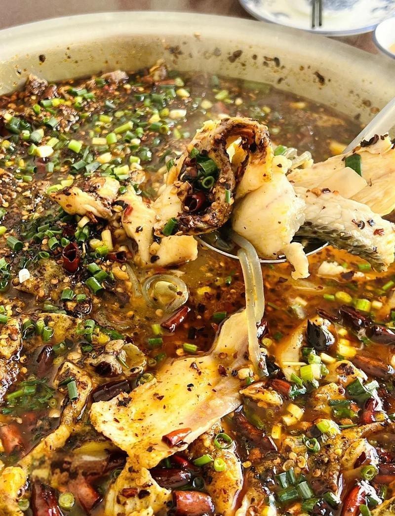 沾益龍魚店，哪家的龍魚最出名