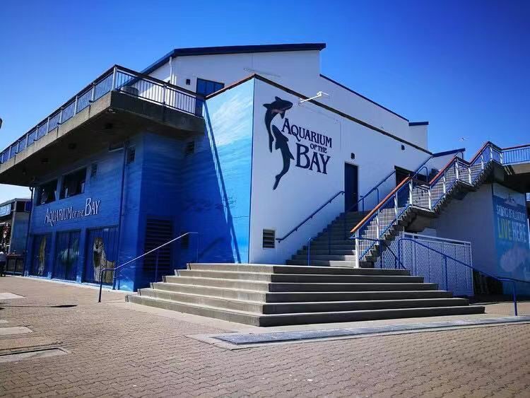 美水族最厲害三個東西，《水下之旅》巨型生物排行top10海底哪種生物最大