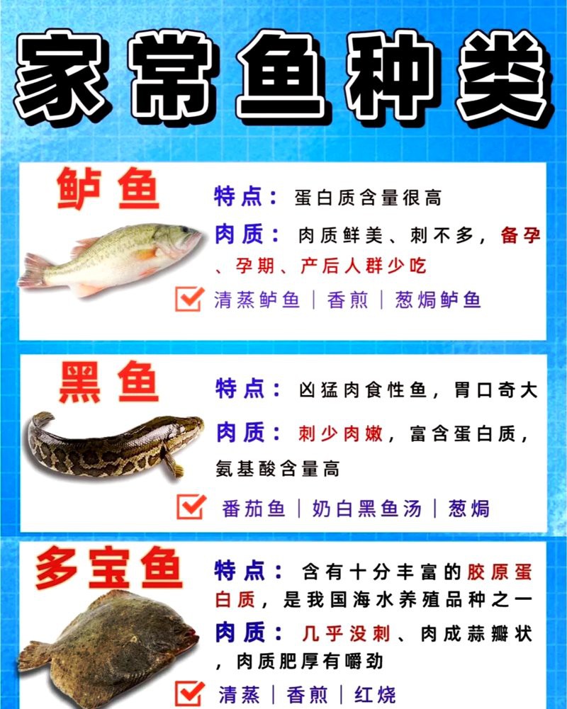 十大無刺魚排名第一名，十大無刺魚中排名第一的無刺魚\