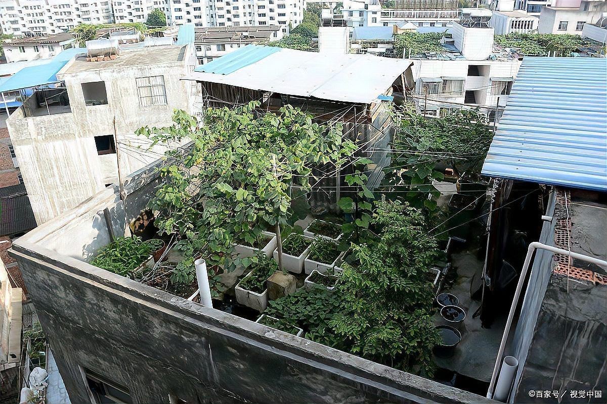 張家界魚缸定做，張家界海鮮水產市場魚缸定做