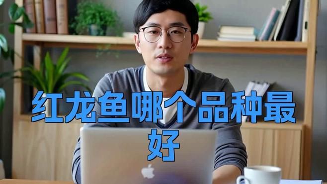 紅龍與其他龍種的區(qū)別，紅龍魚品種大揭秘