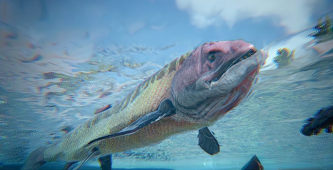 十大兇殘遠古魚類，遠古時期的魚類