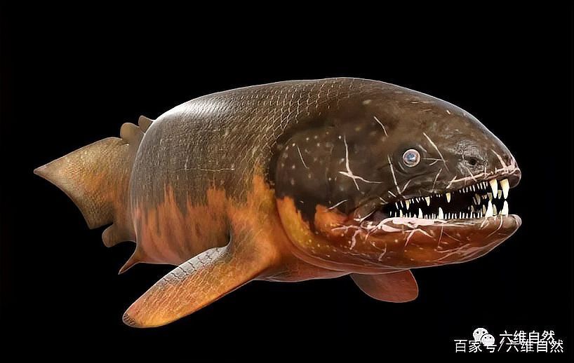十大兇殘遠古魚類，遠古時期的魚類