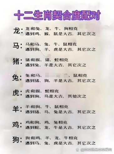 什么生肖不能養龍貓，《什么生肖不能養龍貓》