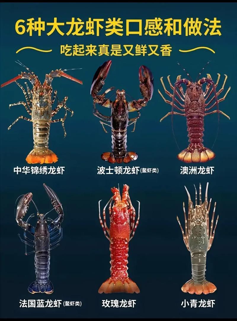 十大龍蝦圖片，全球十大龍蝦品種，波士頓龍蝦上榜，第三最為稀有富農園