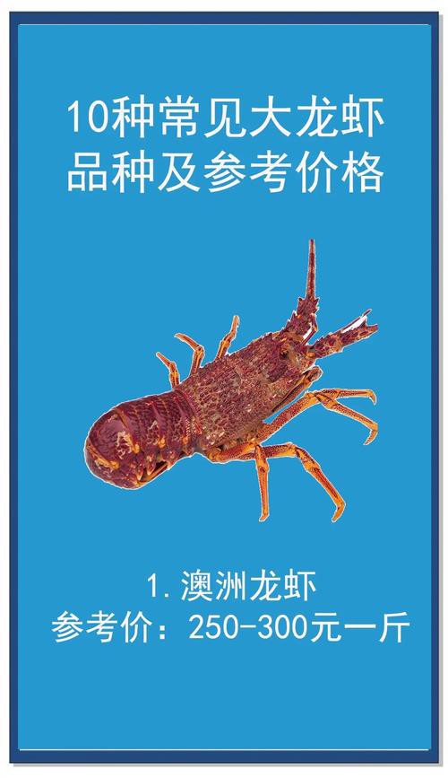 十大龍蝦圖片，全球十大龍蝦品種，波士頓龍蝦上榜，第三最為稀有富農園