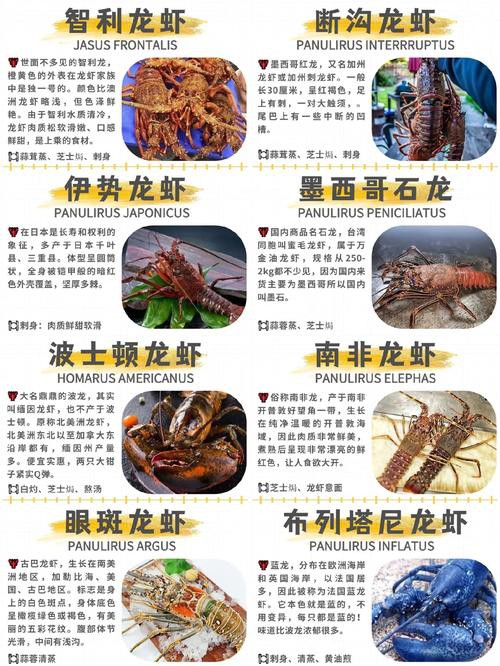十大龍蝦圖片，全球十大龍蝦品種，波士頓龍蝦上榜，第三最為稀有富農園