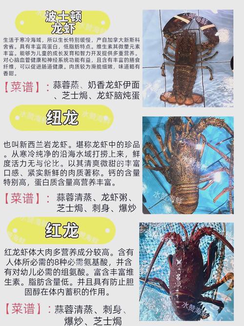 十大龍蝦圖片，全球十大龍蝦品種，波士頓龍蝦上榜，第三最為稀有富農園