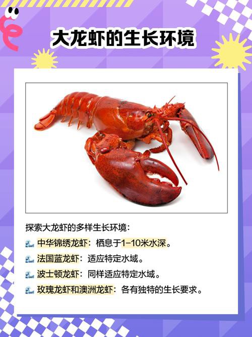 十大龍蝦圖片，全球十大龍蝦品種，波士頓龍蝦上榜，第三最為稀有富農園