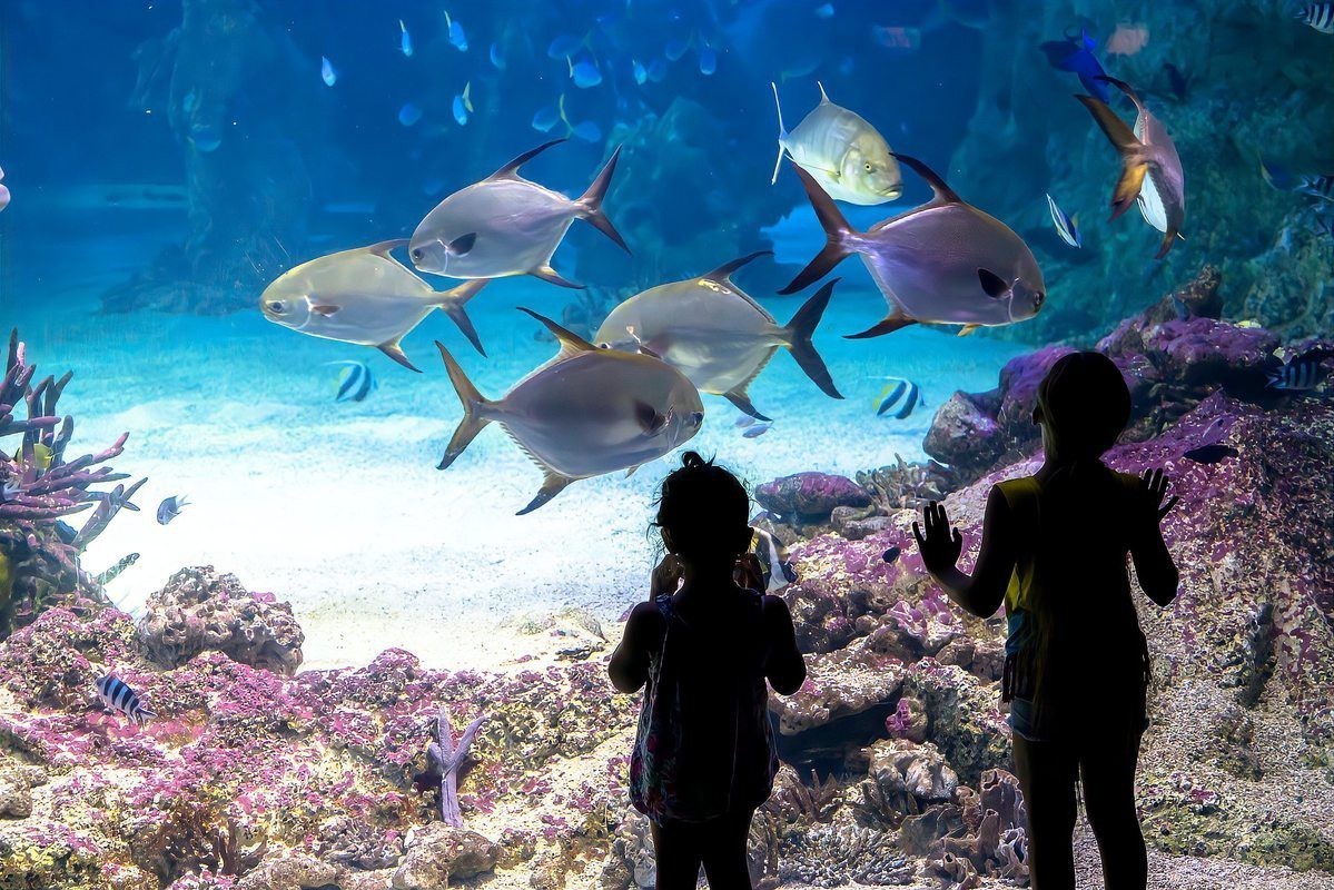全國海洋館排名順序，亞洲首個獲iso14001環保認證的主題公園\