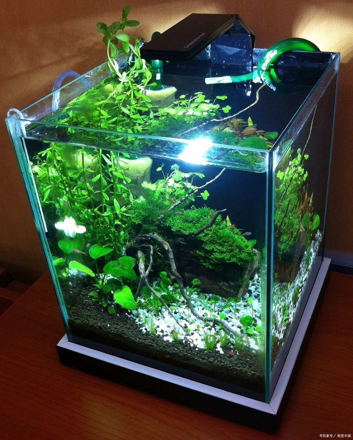十大水草燈排行榜，2025年水草燈十大品牌排行榜