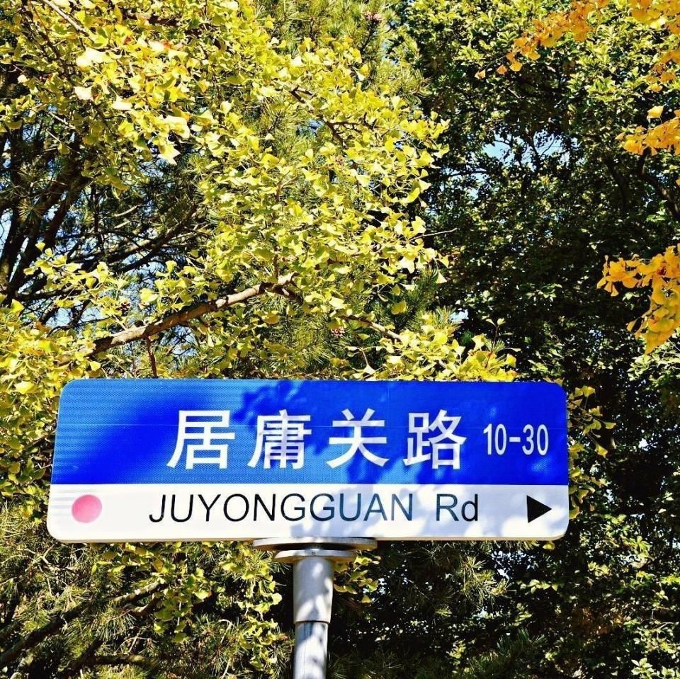 泉州水族店，泉州的水族店頗具品種，而非普通