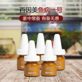羅漢魚最便宜的三個地方，羅漢魚價格一般多少錢？