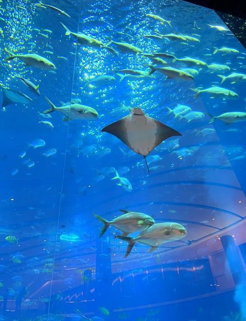 南京水族店，南京水族店的價格范圍是多少