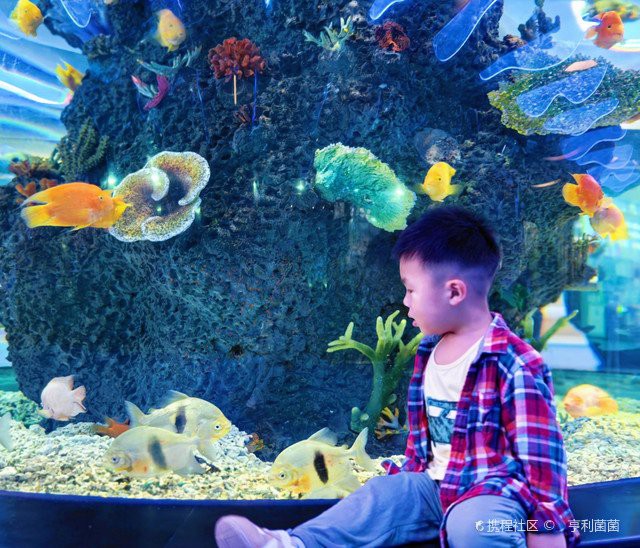 南京水族店，南京水族店的價格范圍是多少