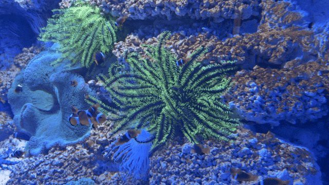 南京水族店，南京水族店的價格范圍是多少