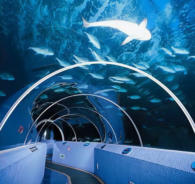 南京水族店，南京水族店的價格范圍是多少