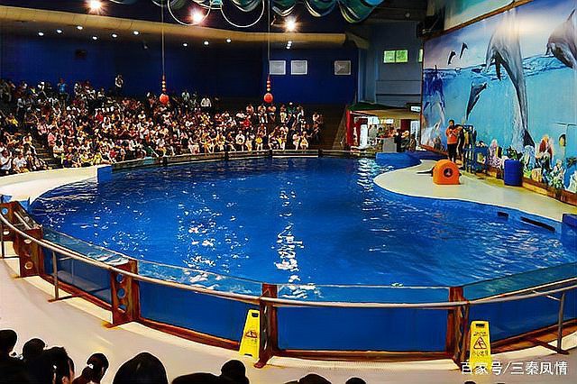 南京水族店，南京水族店的價格范圍是多少