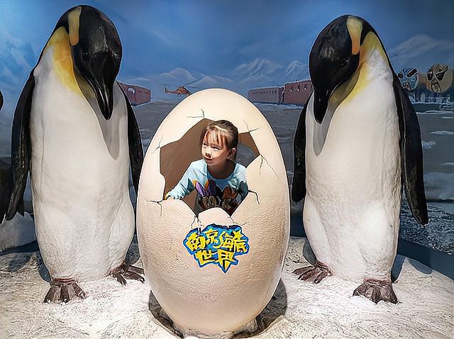 南京水族店，南京水族店的價格范圍是多少