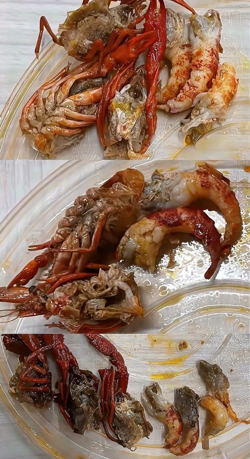 紅龍和澳龍的價格對比，紅龍、澳洲大龍蝦、澳洲大龍蝦、澳洲大龍蝦、澳洲大龍蝦價格對比