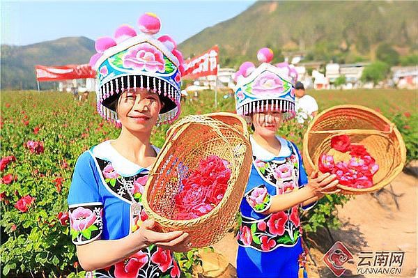 姚安水族店，姚安縣森森水族店