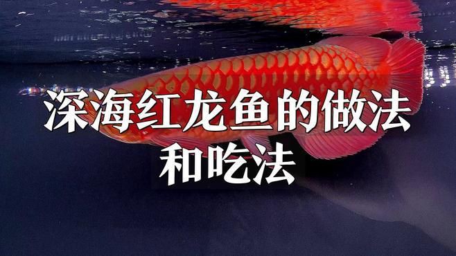紅龍魚的最佳烹飪方法是什么？，今天吃什么紅龍魚的最佳烹飪方法