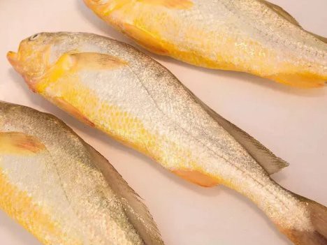 刀鯧魚是海魚還是淡水魚，刀鯧魚是一種典型的海生魚類，屬于海洋生態(tài)中的常見物種