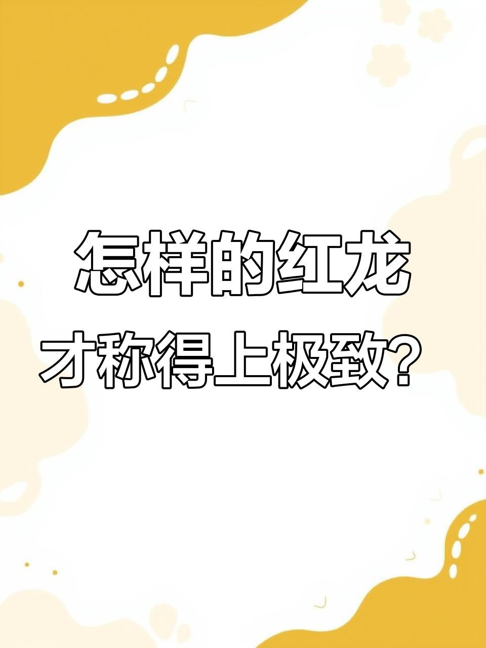 如何辨別紅龍魚的品質，《如何辨別紅龍魚的品質》
