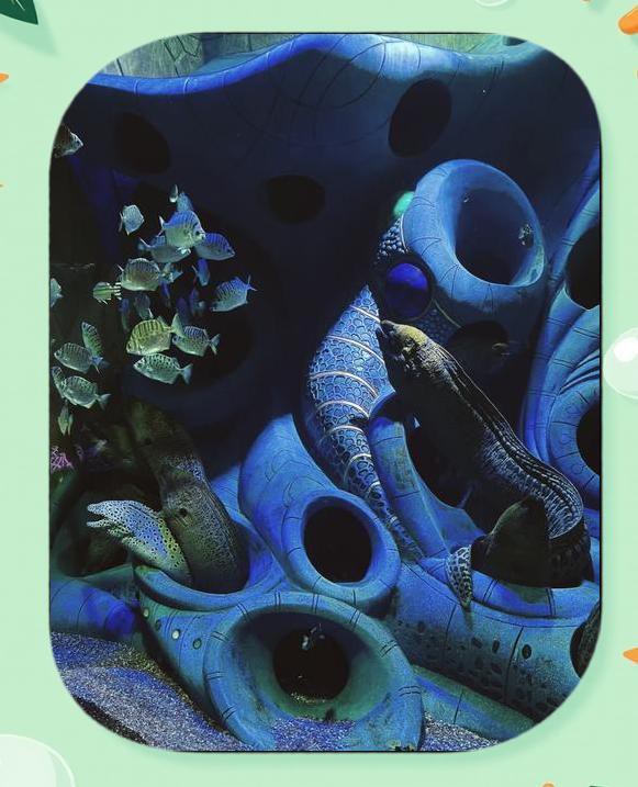 海棠水族店，三亞海棠灣亞特蘭蒂斯水族館：海底王國的奇幻之旅