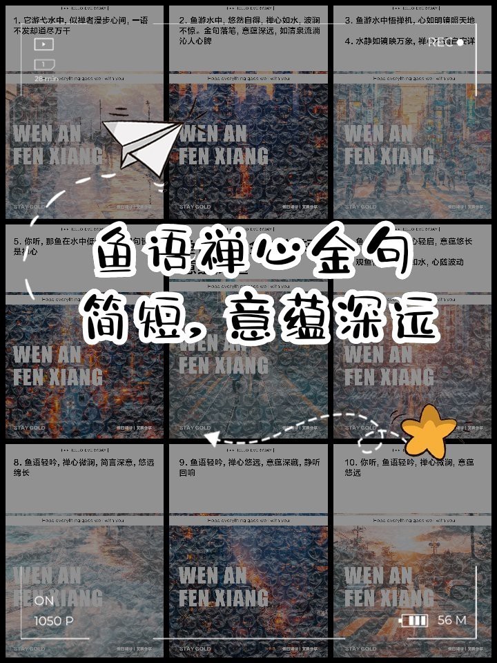 佛家關于魚的禪語，\