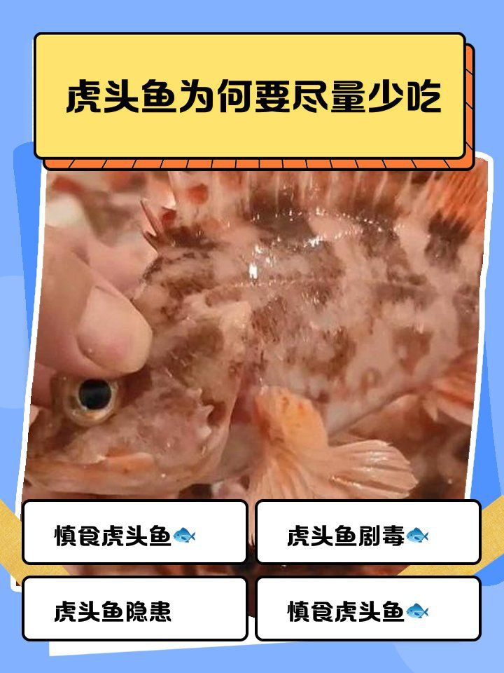 老虎魚毒性，世界上最毒的魚明學小課堂虎魚吃魚中毒有哪些癥狀