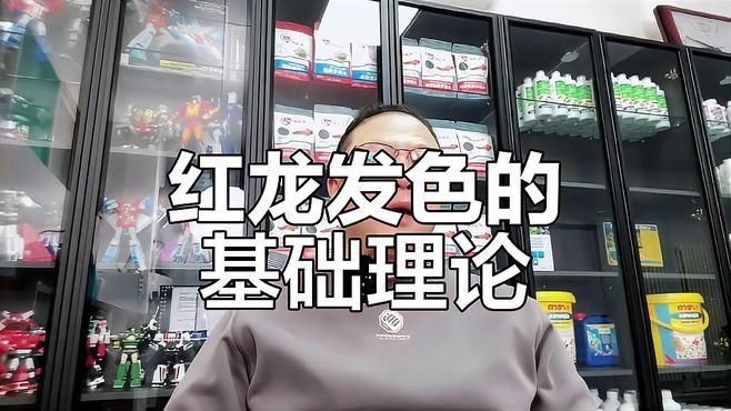紅龍變色原因解析，紅龍發(fā)色揭秘，養(yǎng)多久才變紅