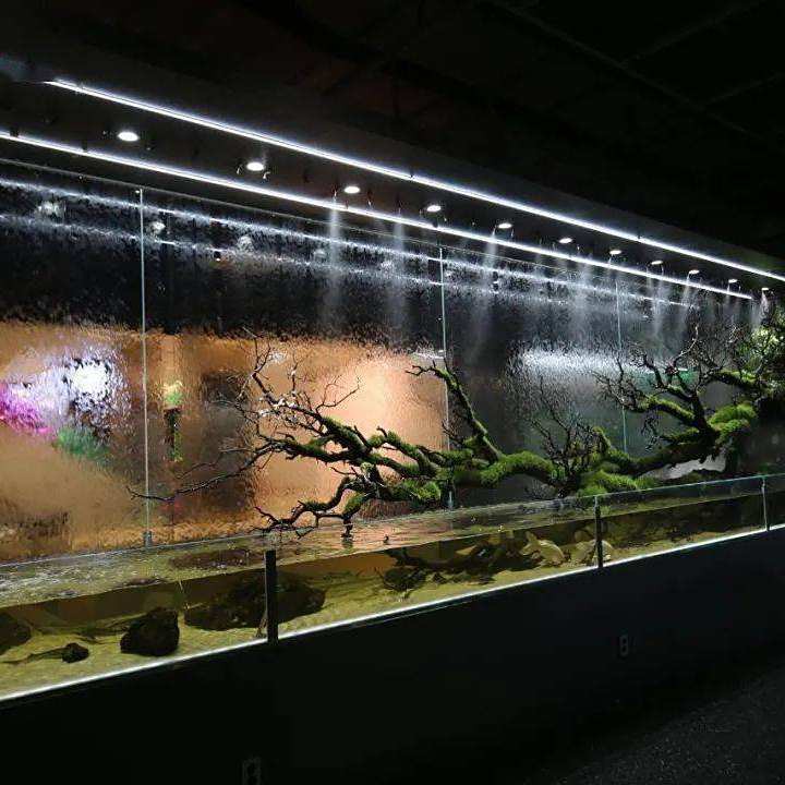 禹王臺水族店，開封市禹王臺區哪家水族店口碑最好