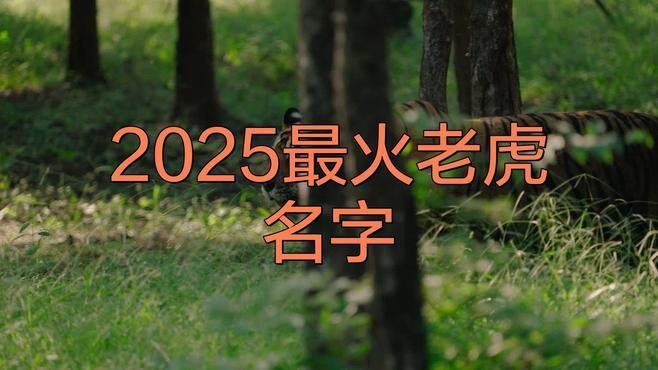 老虎最霸氣十個名，《老虎最霸氣十個名》老虎最霸氣十個名字推薦