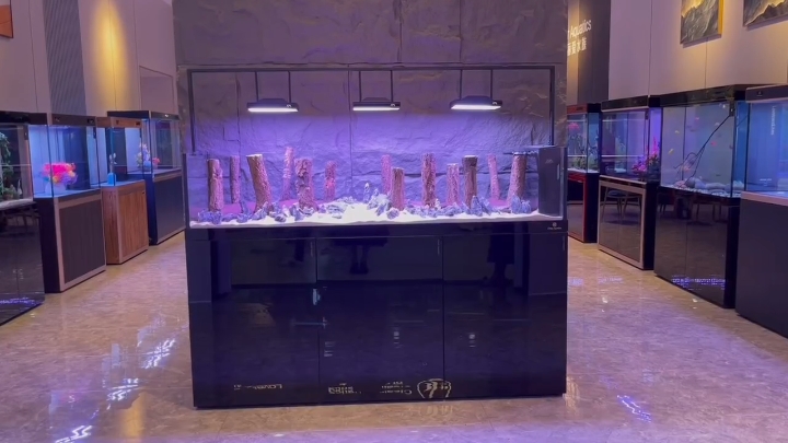 1.8米溪流缸造景，1.8米溪流缸造景，龍巧兒評論：杠杠滴