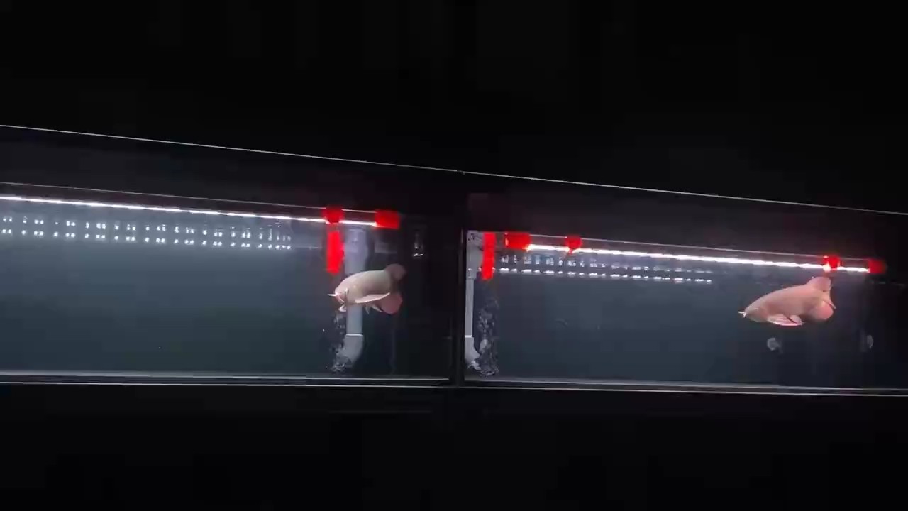 好的東西給你不一樣的感覺