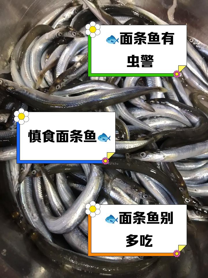 雙線魚為何盡量少吃，雙線魚的健康風險